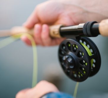 De voordelen van vissen als hobby