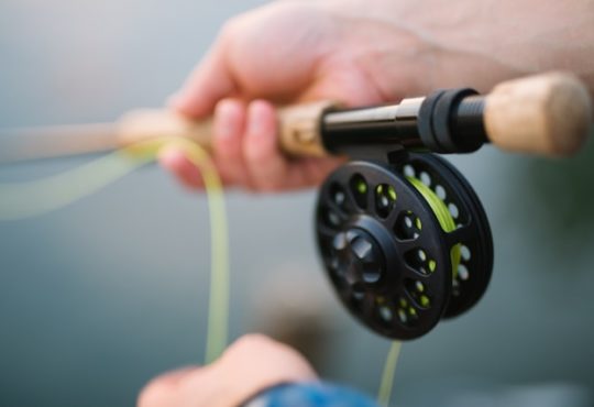 De voordelen van vissen als hobby