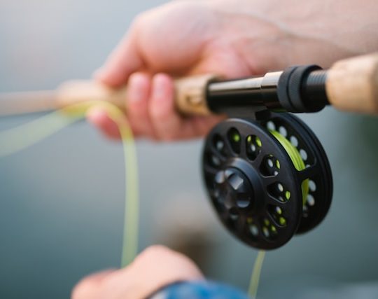 De voordelen van vissen als hobby