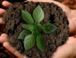 Werken aan een groene toekomst