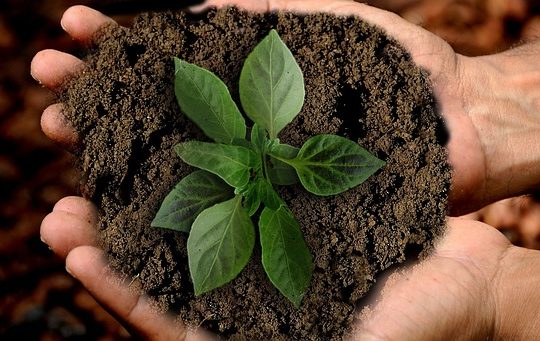 Werken aan een groene toekomst