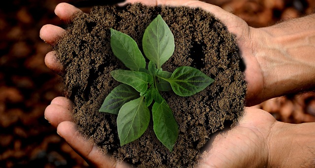 Werken aan een groene toekomst